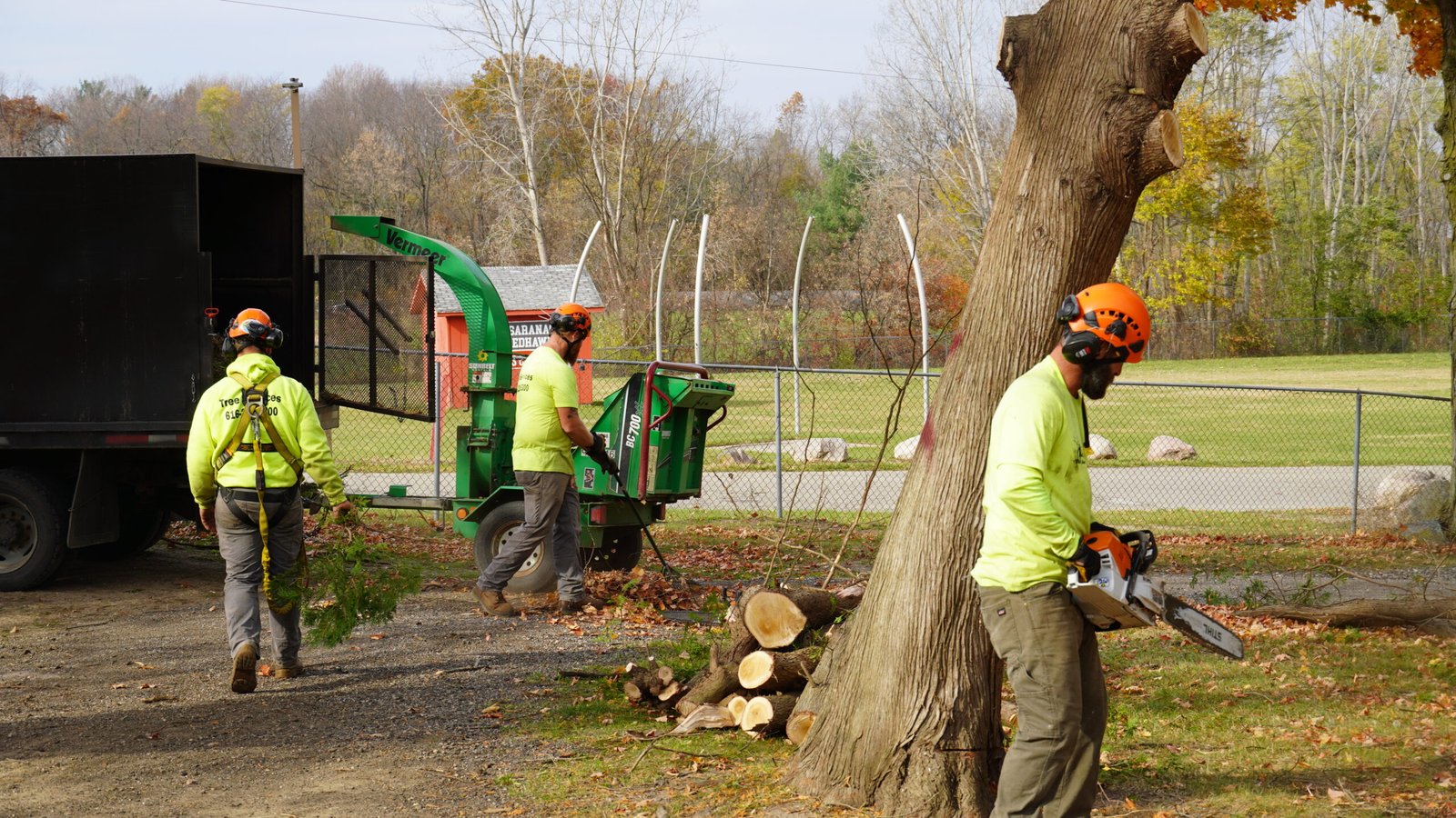Read more about the article 1500% Increase in Efficiency: A Case Study on Ole Man RB’s Tree Service